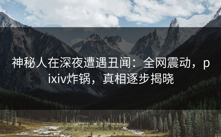 神秘人在深夜遭遇丑闻：全网震动，pixiv炸锅，真相逐步揭晓