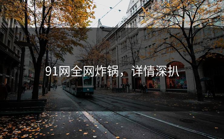 91网全网炸锅，详情深扒