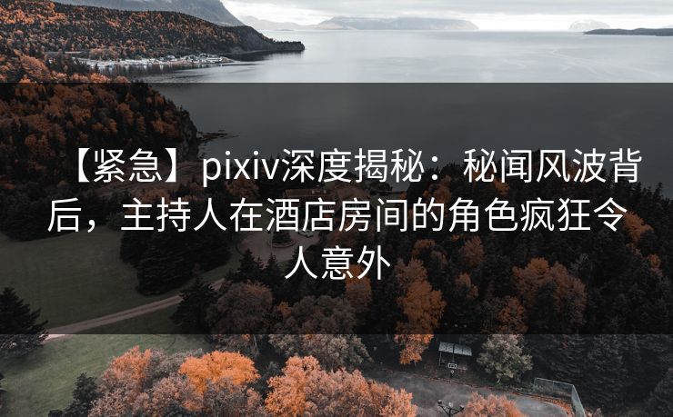 【紧急】pixiv深度揭秘：秘闻风波背后，主持人在酒店房间的角色疯狂令人意外