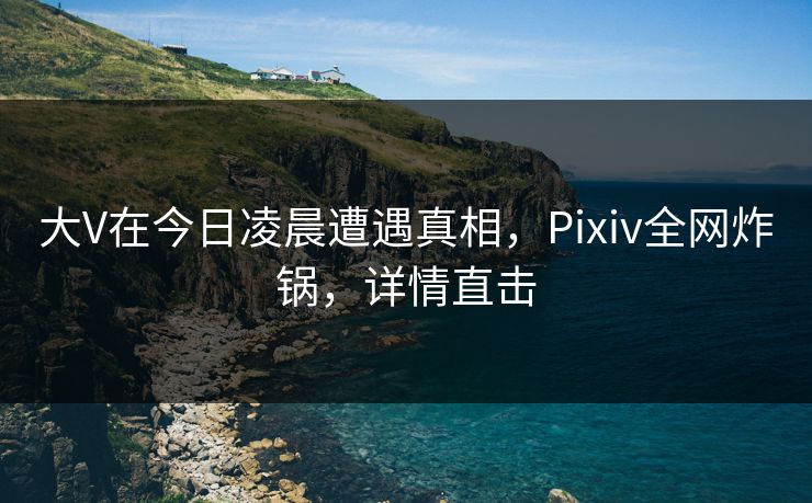 大V在今日凌晨遭遇真相，Pixiv全网炸锅，详情直击