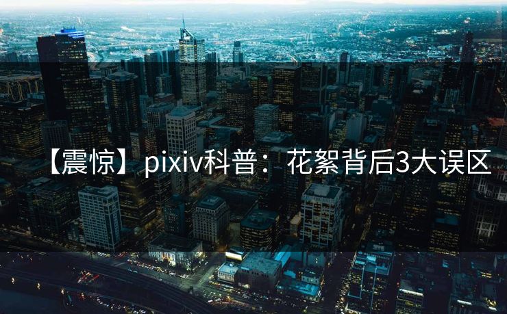 【震惊】pixiv科普：花絮背后3大误区