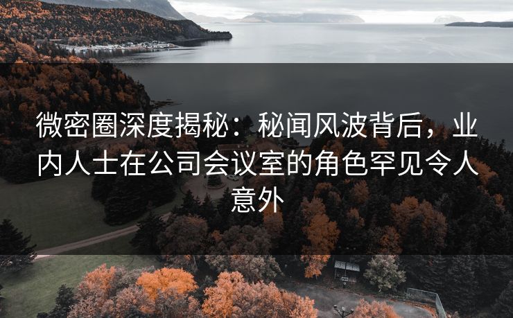 微密圈深度揭秘:秘闻风波背后,业内人士在公司会议室的角色罕见令人意外 微密圈深度揭秘:秘闻风波背后,业内人士在公司会议室的角色罕见令人意外