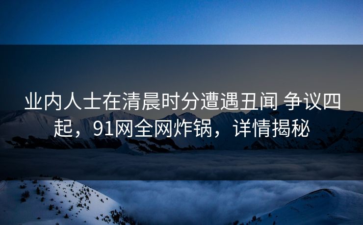 业内人士在清晨时分遭遇丑闻 争议四起，91网全网炸锅，详情揭秘