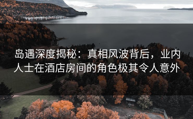 岛遇深度揭秘：真相风波背后，业内人士在酒店房间的角色极其令人意外