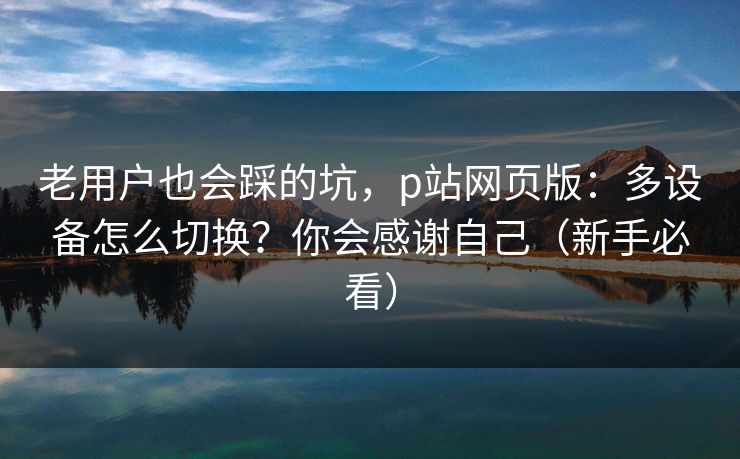 老用户也会踩的坑，p站网页版：多设备怎么切换？你会感谢自己（新手必看）